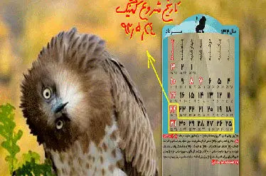 برگزاری یک تور عجیب در جنگل‌های شمال!
