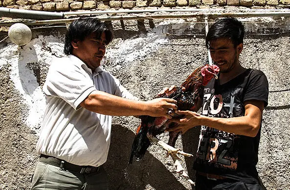 (تصاویر) زندگی مهاجران افغانستان در ورامین