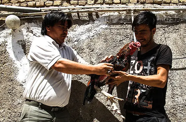 (تصاویر) زندگی مهاجران افغانستان در ورامین