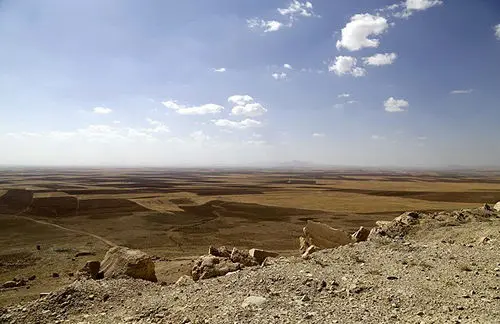 (تصاویر) فسيل 20میلیون‌ساله در کبودراهنگ