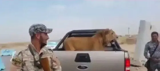 (تصویر) شکار نادر ارتش عراق در نبرد با داعش