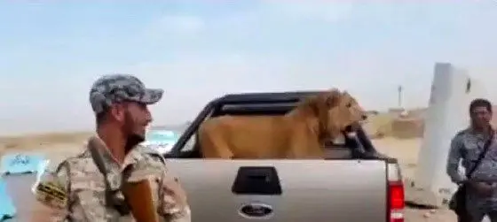(تصویر) شکار نادر ارتش عراق در نبرد با داعش