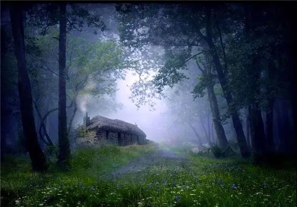 (تصاویر) خانه‌هایی برای تمدد اعصاب