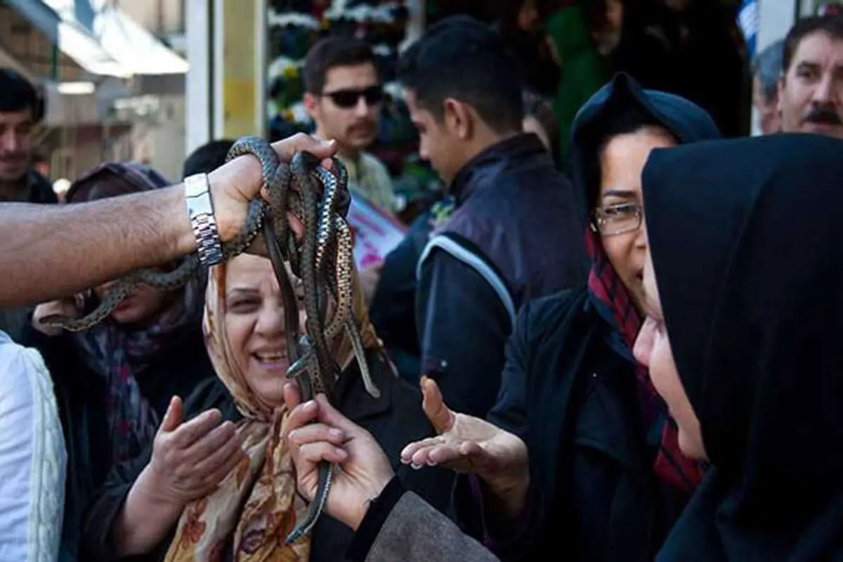 (تصویر) حراج مار زنده در بازار تهران!