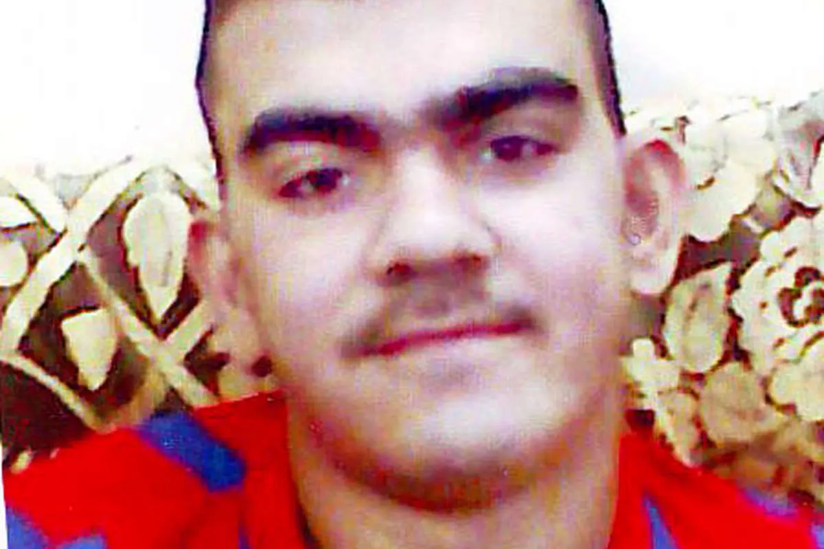 گمشده، پیدا شد