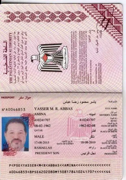(تصویر) شغل جالب آقازاده در پاسپورت‌اش