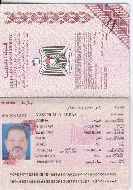 (تصویر) شغل جالب آقازاده در پاسپورت‌اش