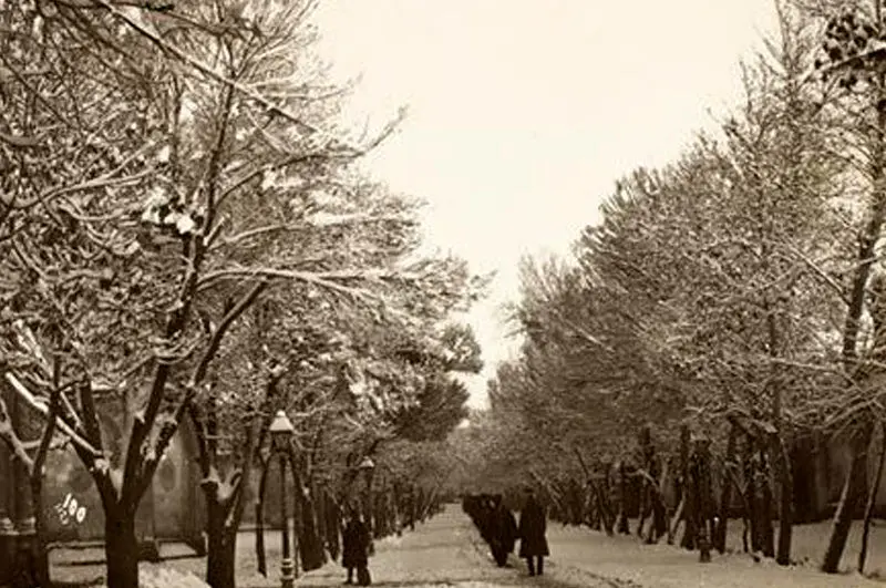 (تصاویر) جای خالی برف‌های تهران