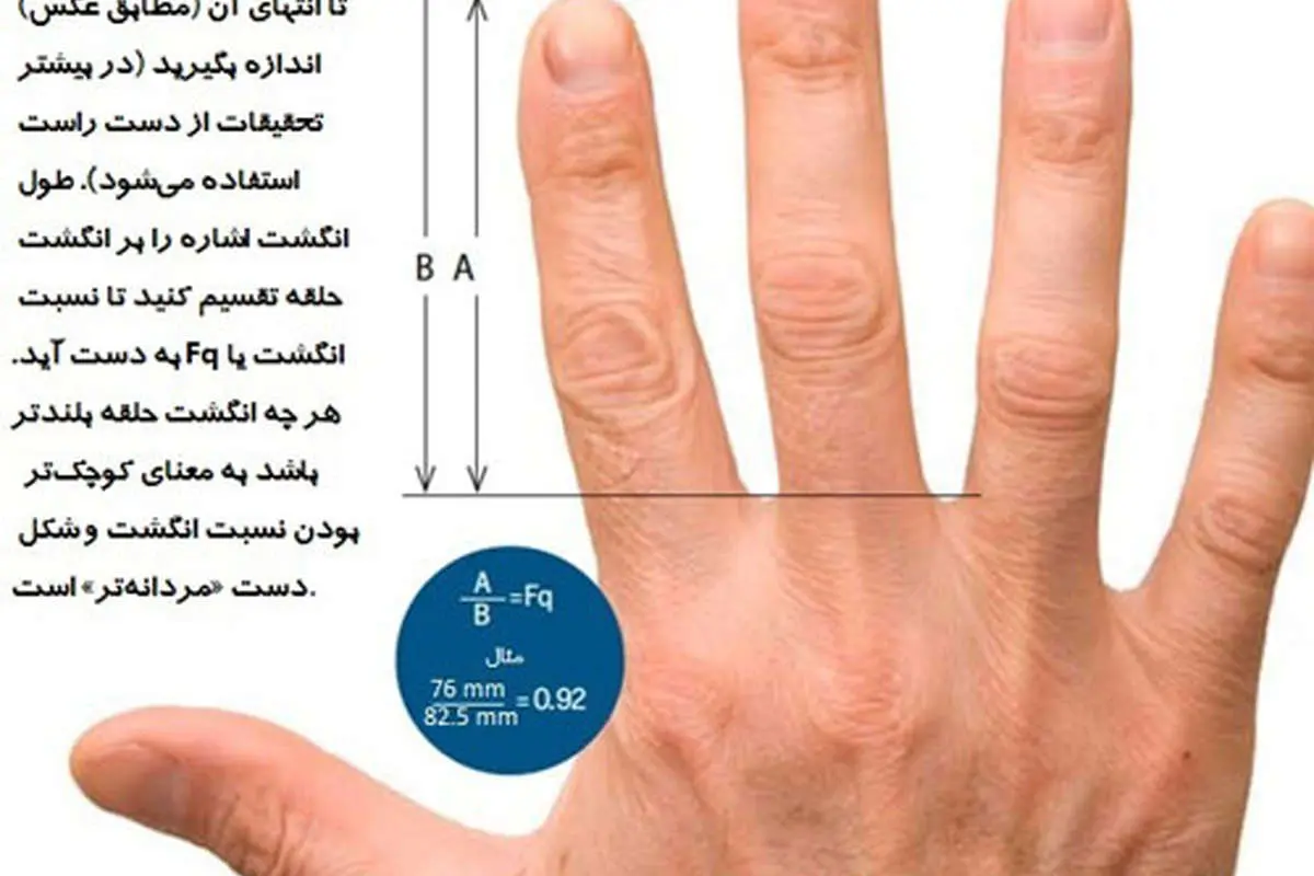 رابطه انگشتان دست با خطر ابتلا به بیماریها