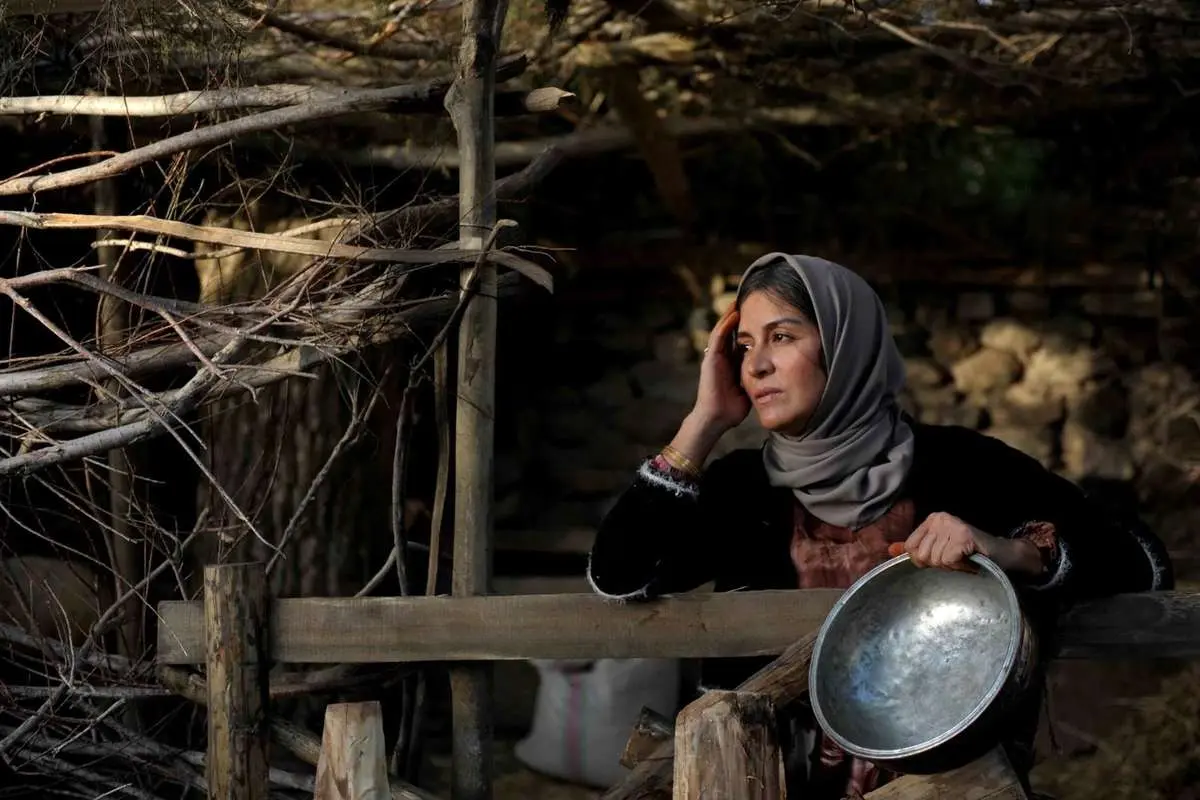 "شیار" بیخیال گیشه نمیشود!
