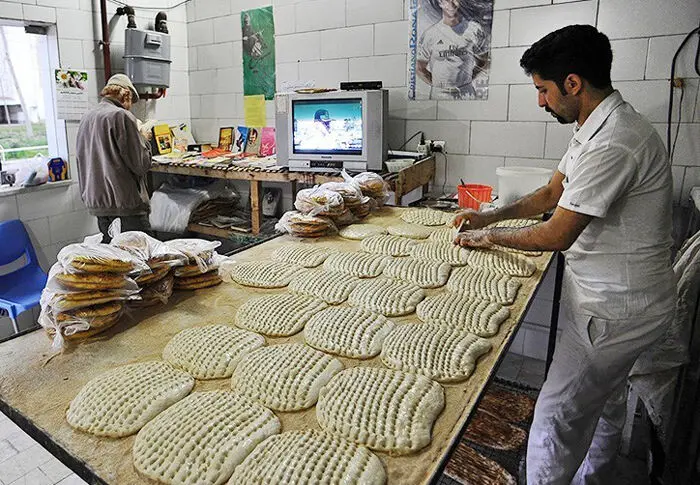 (تصاویر) بربری با طعم کتاب