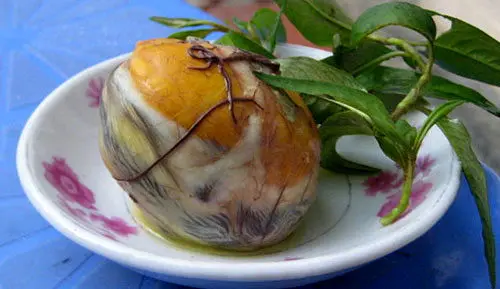 (تصاویر) عجیب‌ترین غذاهای جهان