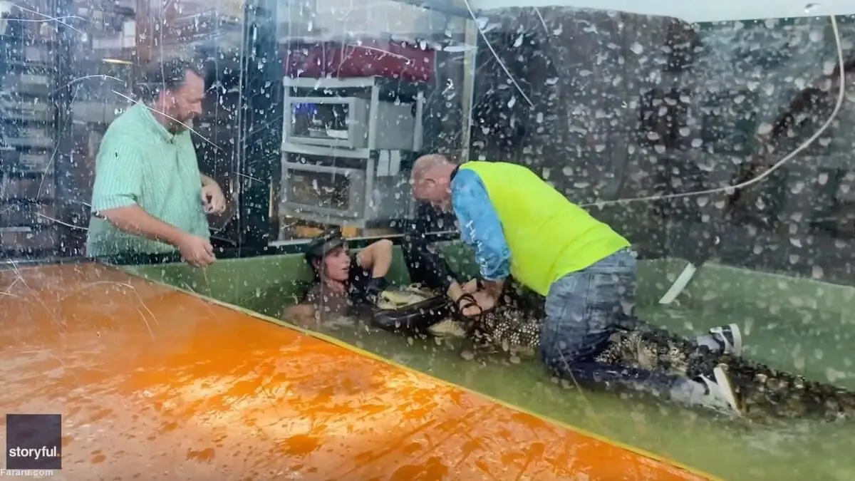 (ویدئو) تمساح دست یک زن را گاز گرفت