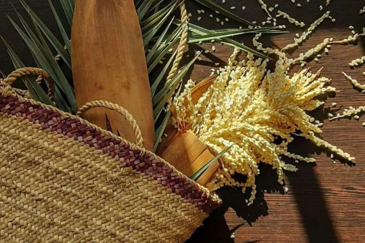 خواص بی‌نظیر طارونه یا کاشکیلو