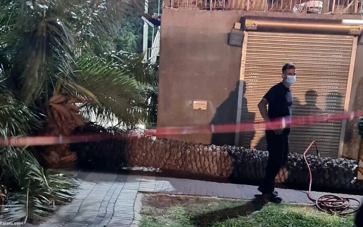 (ویدئو) لحظه هولناک سقوط درخت نخل روی سر یک زن!