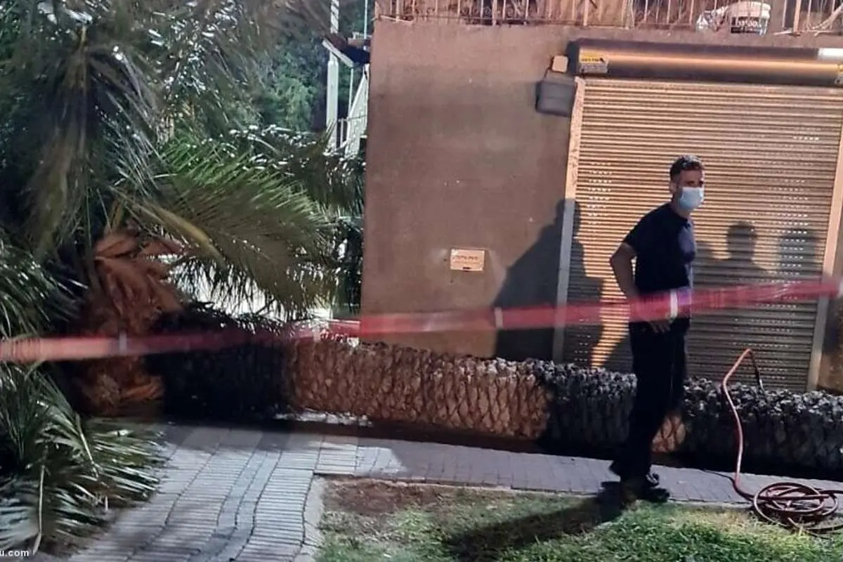 (ویدئو) لحظه هولناک سقوط درخت نخل روی سر یک زن!