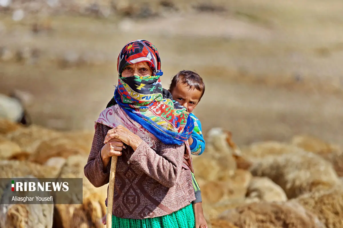 (تصاویر) زندگی زیبای عشایر آذربایجان شرقی 