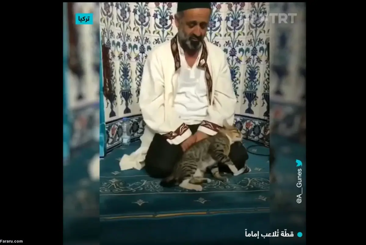 (ویدئو) گربه‌ای که با امام جماعت در حال تلاوت قرآن بازی می‌کند!