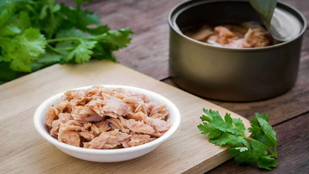 حذف تن ماهی از سفره اقشار متوسط و ضعیف