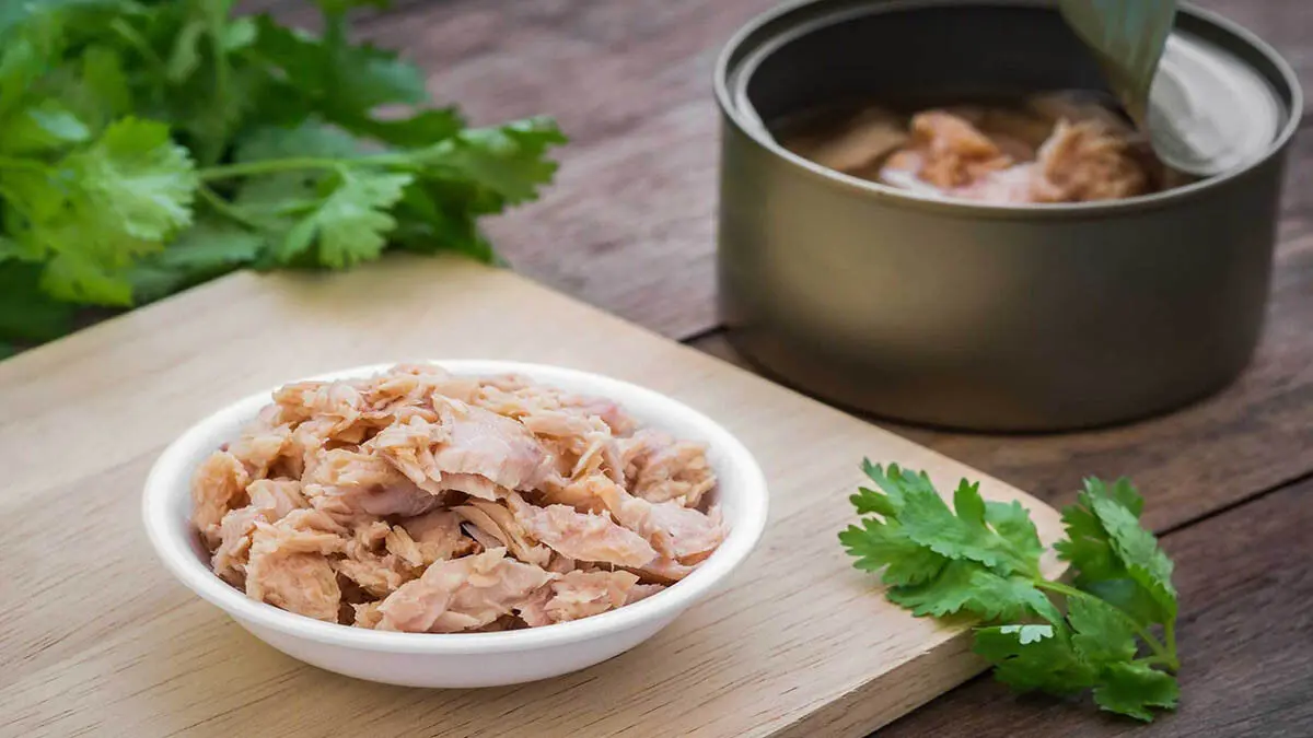 حذف تن ماهی از سفره اقشار متوسط و ضعیف