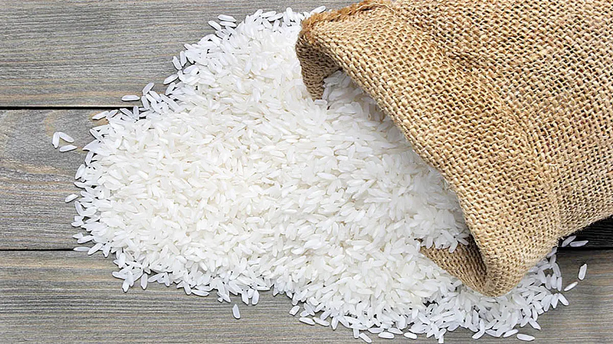 افزایش قیمت برنج ایرانی تا ۴۶ هزار و ۵۰۰ تومان