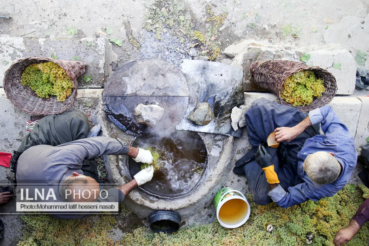 (تصاویر) مراسم سنتی کشمش بولاو در دولاب سنندج
