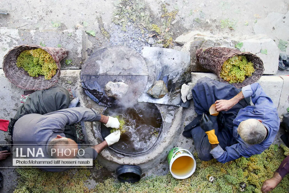 (تصاویر) مراسم سنتی کشمش بولاو در دولاب سنندج
