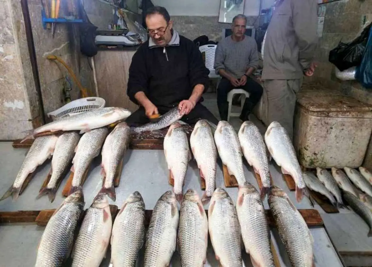 چرا ماهی گران شده است؟