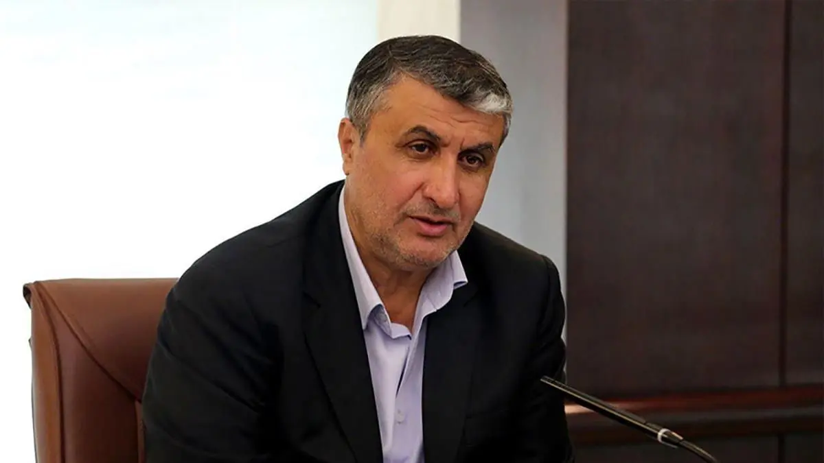 رئیس جدید سازمان انرژی اتمی در اولین سخنرانی خود در وین چه گفت؟