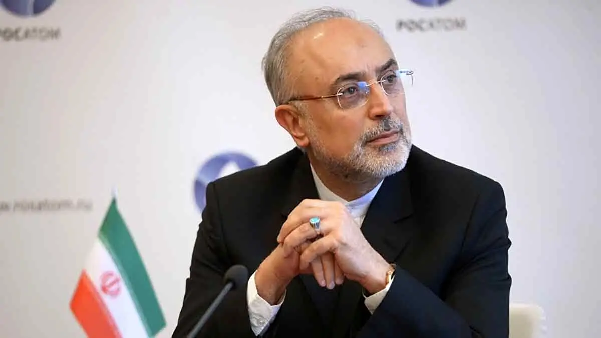 سمت جدید علی اکبر صالحی
