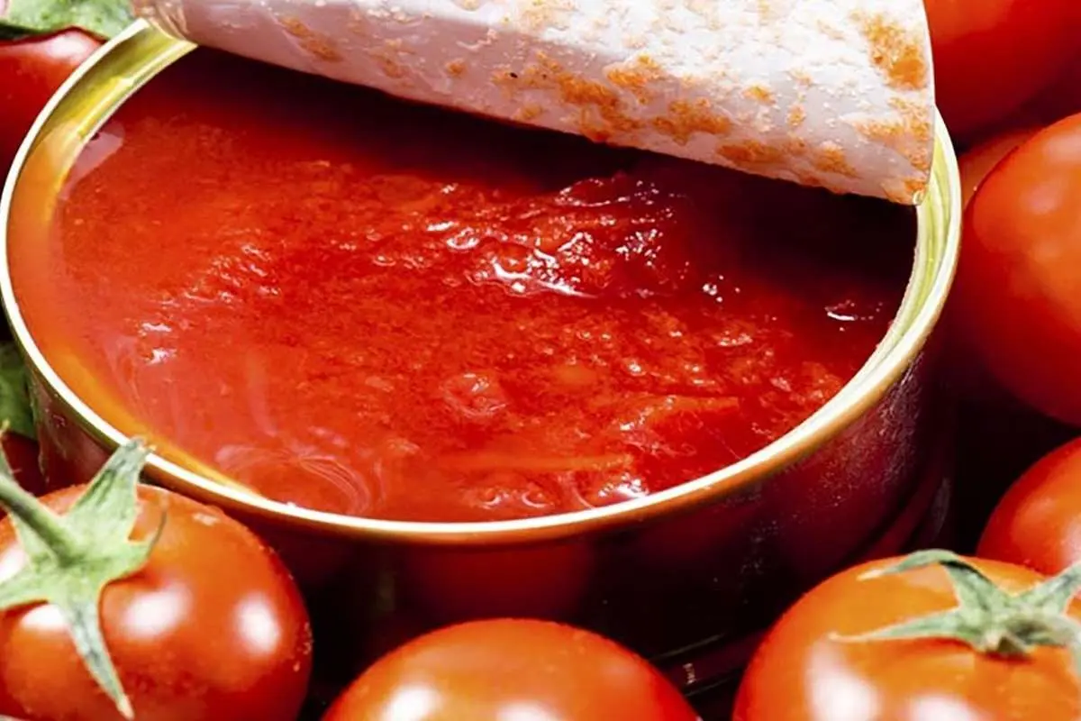رب گوجه یک ماهه ۵۰ درصد گران شد