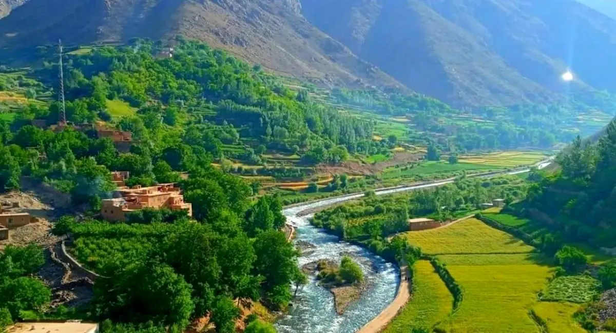 طالبان برای پنجشیر والی جدید انتخاب کرد