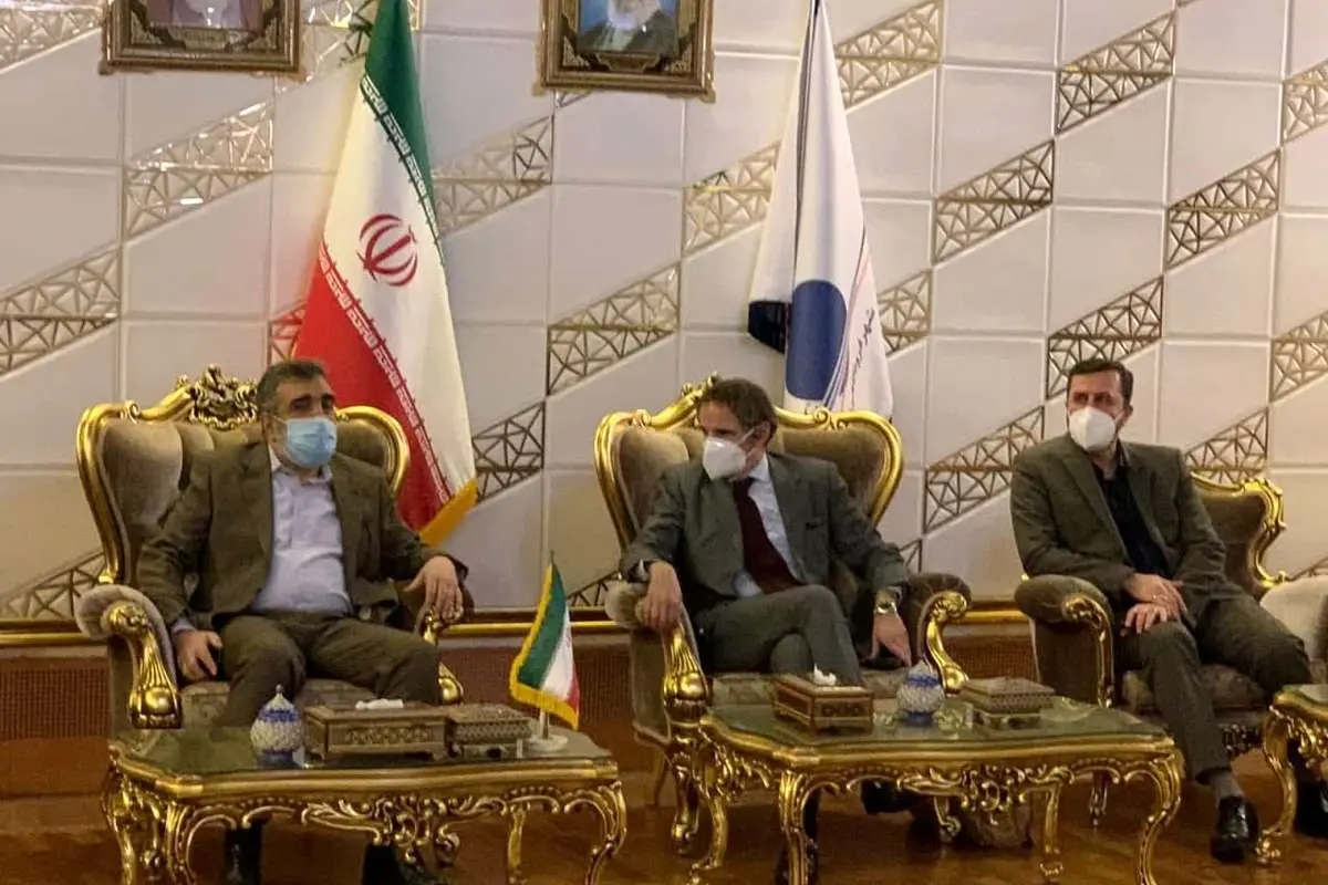 گروسی وارد تهران شد