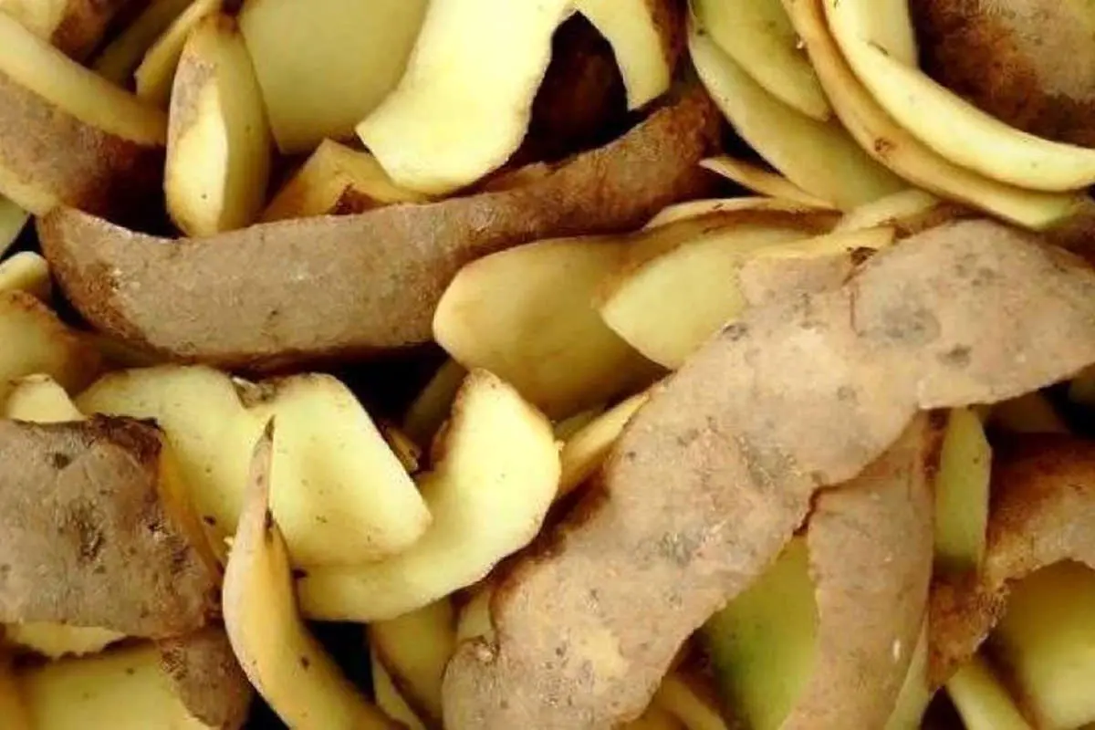 پوست سیبزمینی را دور نریزید