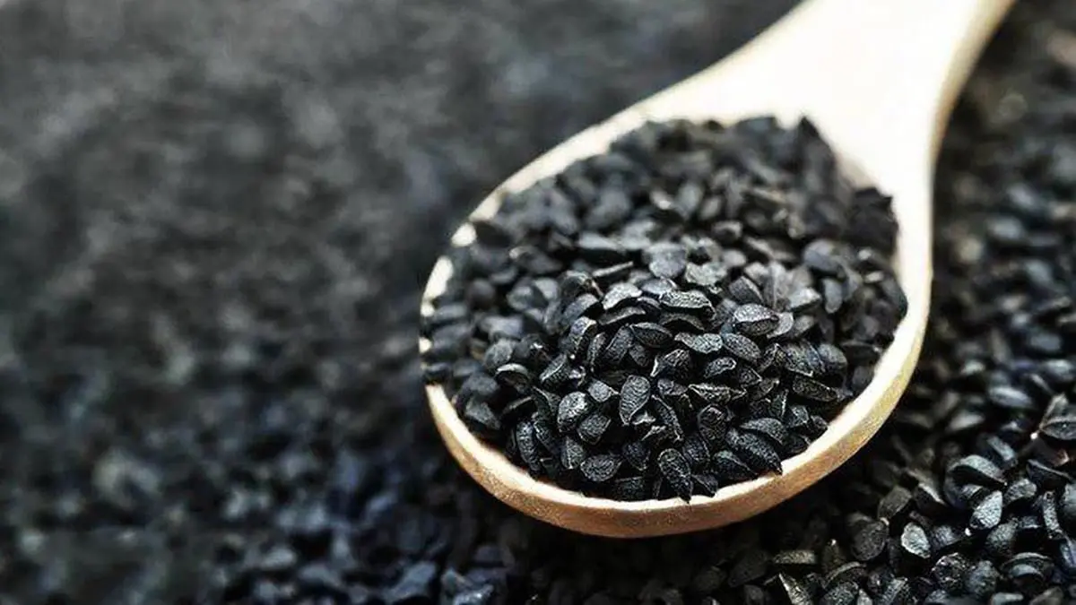 خواص سیاه‌دانه؛ از تسکین روماتیسم تا درمان ریزش مو