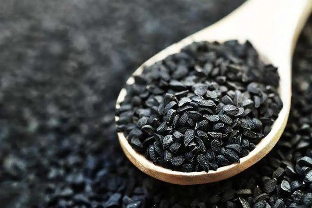 خواص سیاهدانه؛ از تسکین روماتیسم تا درمان ریزش مو