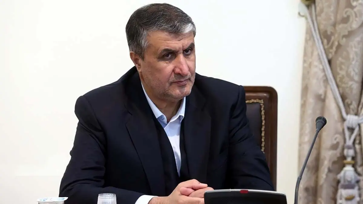 اسلامی: الزامی به بودن دوربین‌های برجامی نیست