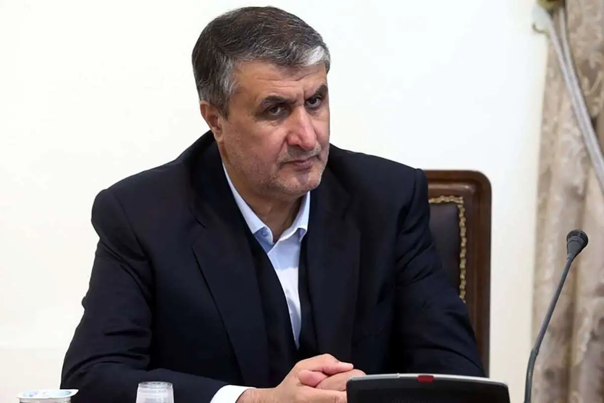 اسلامی: الزامی به بودن دوربینهای برجامی نیست