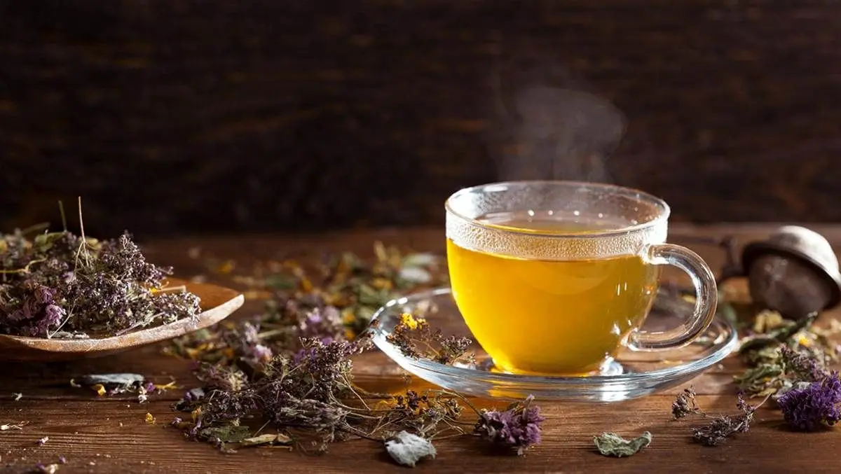 «چای کوهی» یا «گیاه پشمینه» و خواص باورنکردنی آن