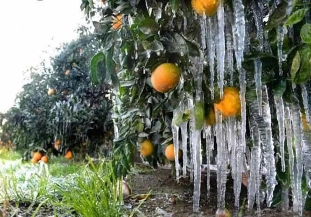 هواشناسی ایران امروز جمعه ۱۶ مهر ۱۴۰۰؛ کاهش دما در ۱۱ استان به زیر صفر درجه