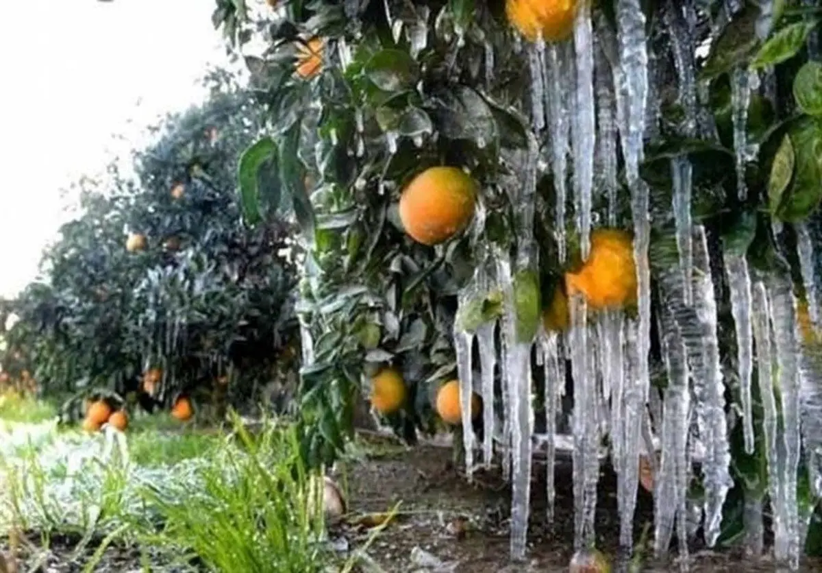 هواشناسی ایران امروز جمعه ۱۶ مهر ۱۴۰۰؛ کاهش دما در ۱۱ استان به زیر صفر درجه
