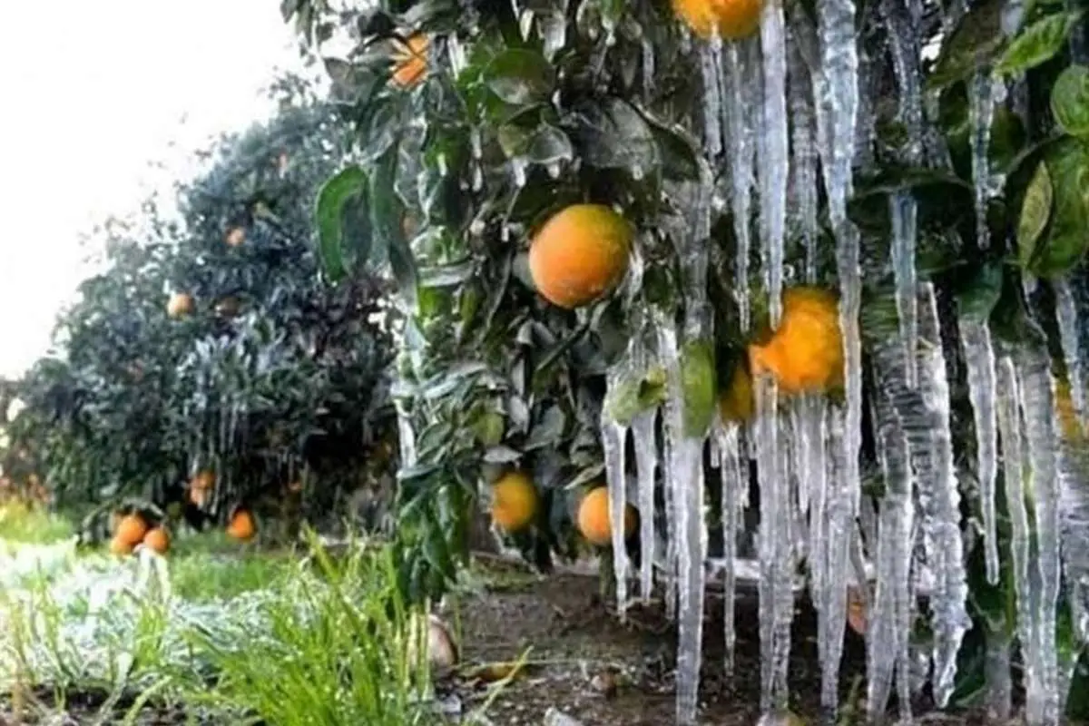 هواشناسی ایران امروز جمعه ۱۶ مهر ۱۴۰۰؛ کاهش دما در ۱۱ استان به زیر صفر درجه