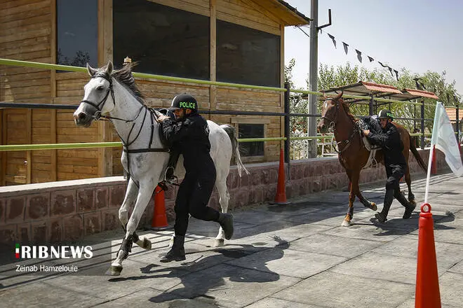 گالری