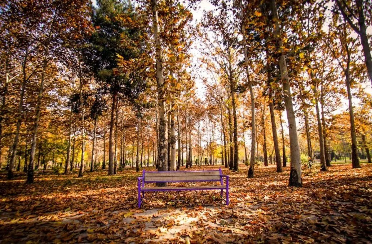 پیش‌بینی وضعیت آب و هوای تهران فردا سه‌شنبه ۴ آبان ۱۴۰۰