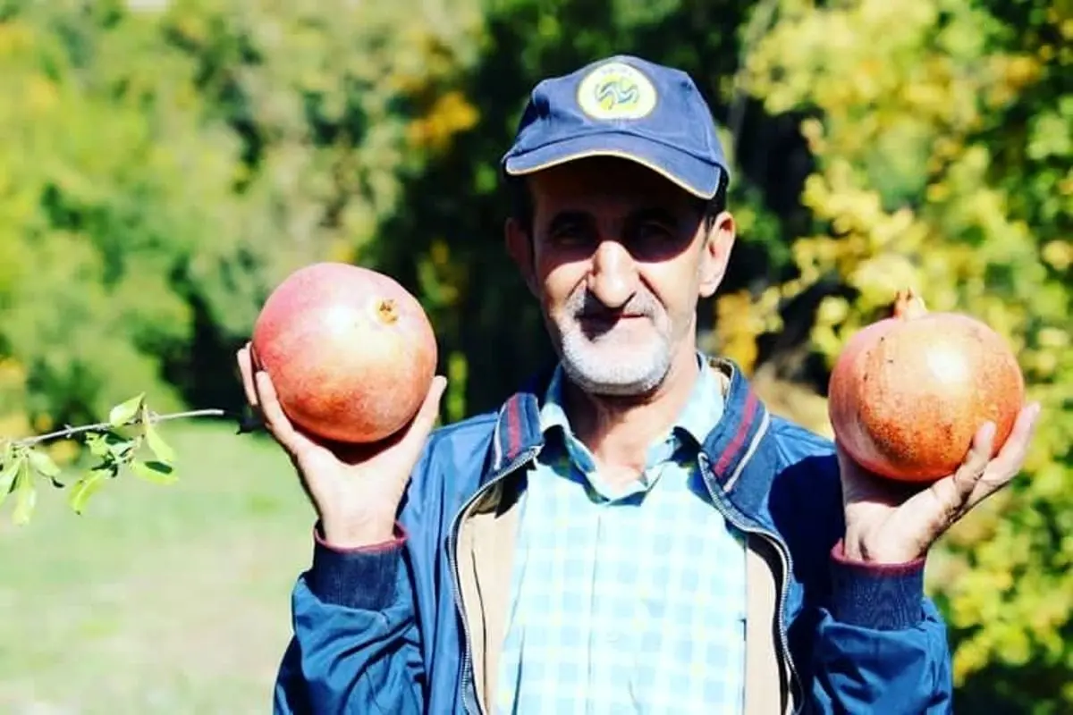 (تصاویر) جشن انار چینی در رودبار