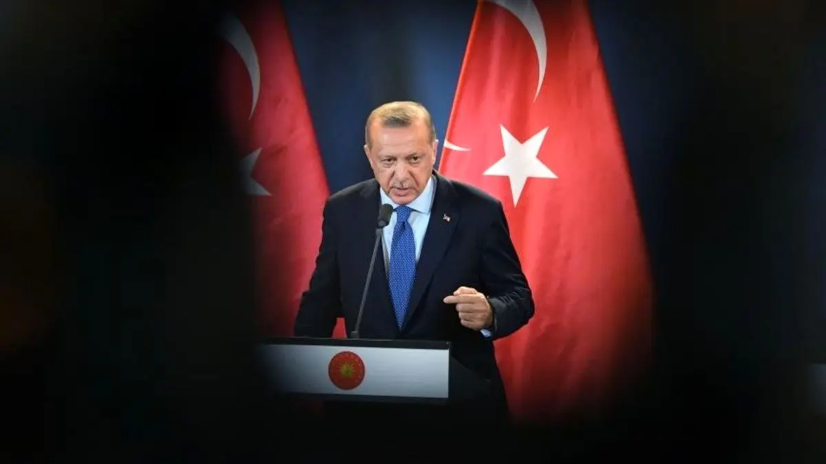 محرک اصلی اردوغان در اخراج سفرای خارجی چیست؟
