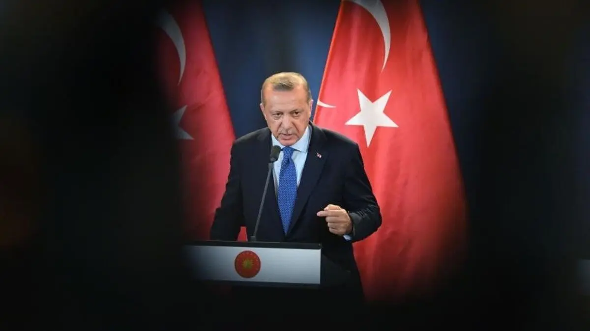 محرک اصلی اردوغان در اخراج سفرای خارجی چیست؟