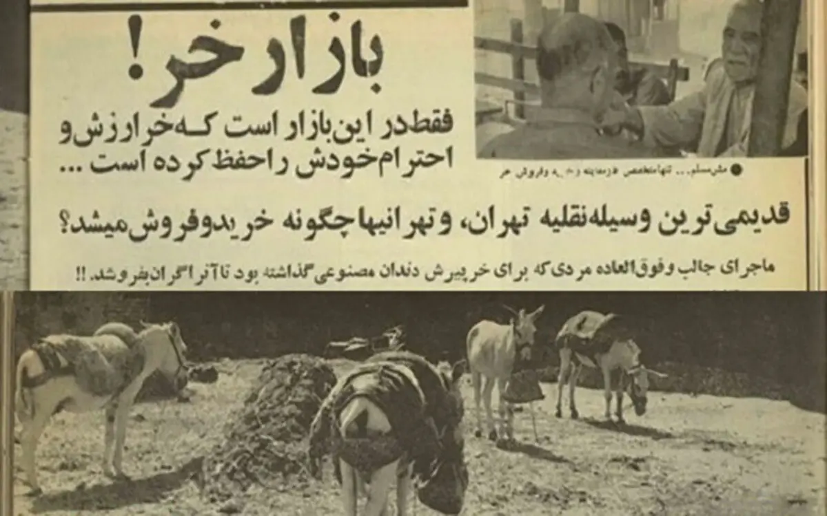 ماجرای مردی که برای خرش دندان مصنوعی گذاشت!