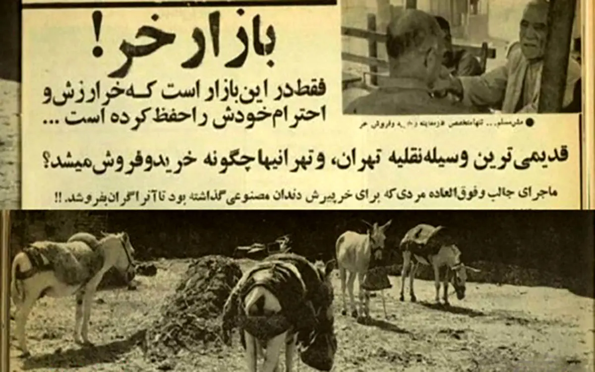 ماجرای مردی که برای خرش دندان مصنوعی گذاشت!