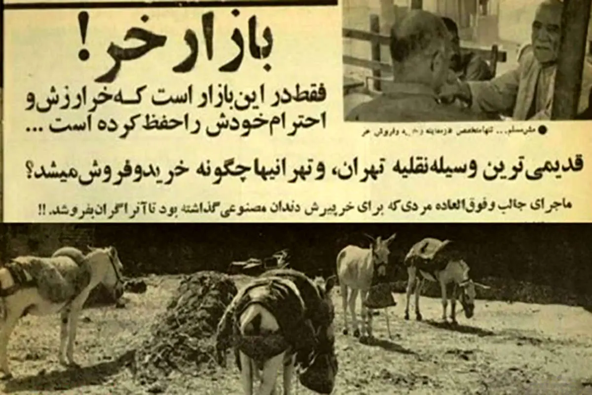 ماجرای مردی که برای خرش دندان مصنوعی گذاشت!